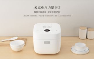 智能无级调压 米家电压力锅正式发布 售价599元，重新定义家用烹饪新体验